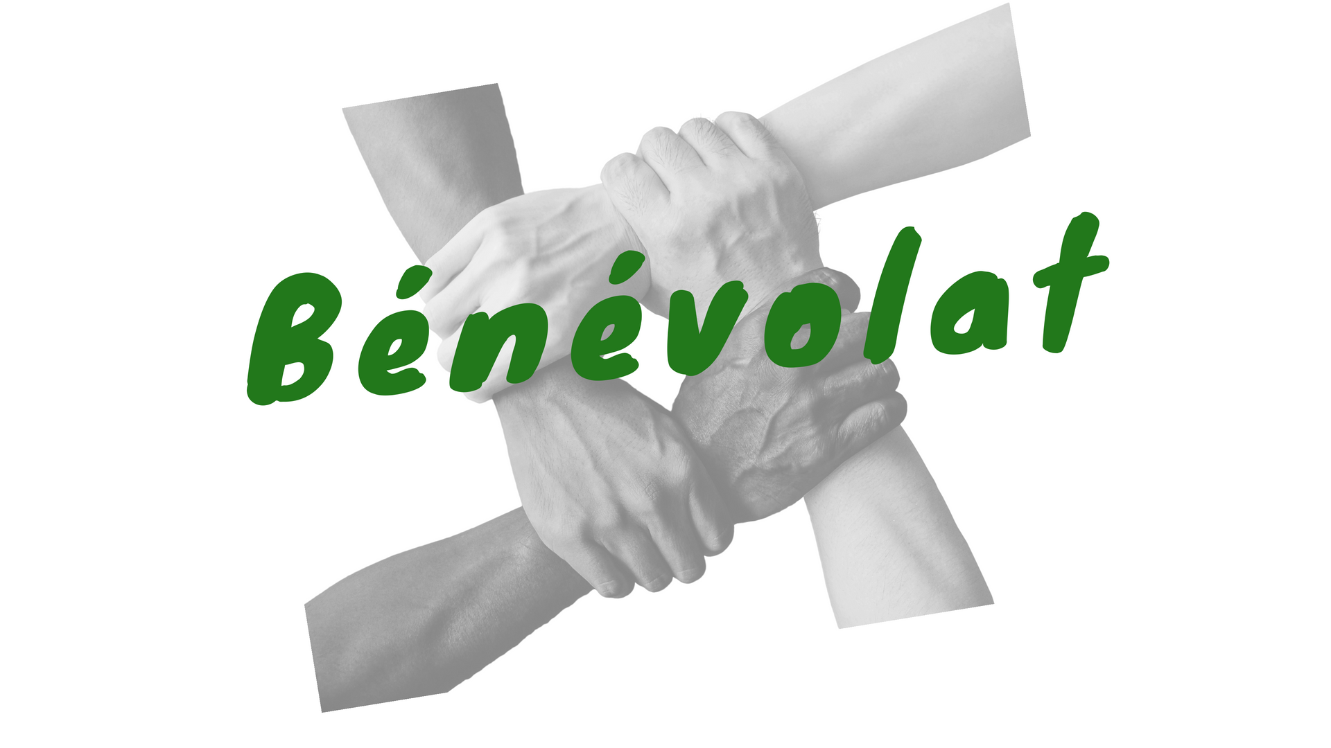 15/11/2025 Journée des bénévoles